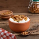Greek yogurt Granola